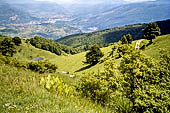 Monte Baldo (Trentino) - Tra i pendii erbosi che si affacciano sulla Valle dell'Adige si nota un impluvio per la raccolta dell'acqua piovana costruito durante la prima guerra mondiale.